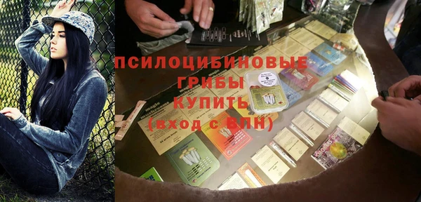 гашик Аркадак