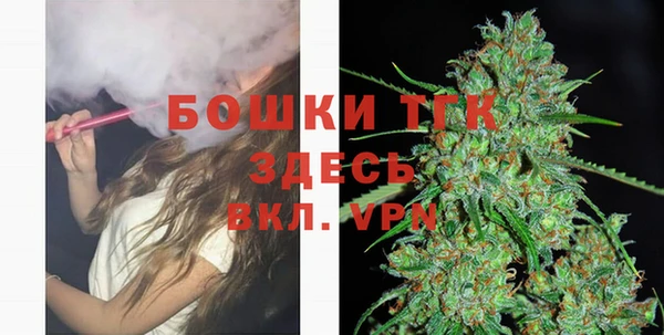 гашик Аркадак