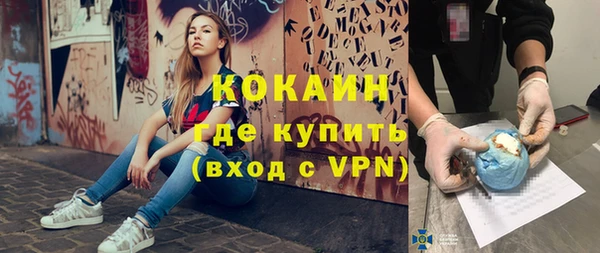 гашик Аркадак