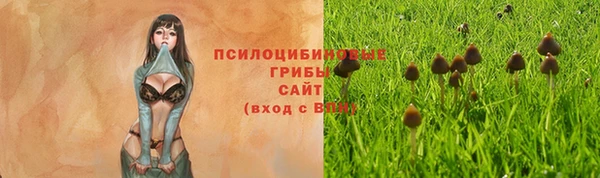 МДМА Арсеньев