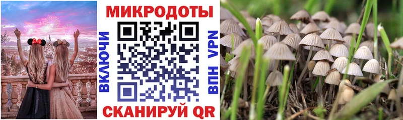 Галлюциногенные грибы ЛСД  хочу наркоту  гидра   Спасск-Дальний 