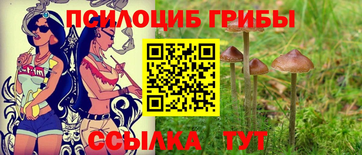 магазин    Галлюциногенные грибы Cubensis  Вход с VPN  Спасск-Дальний 